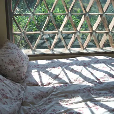 La Loggia 13 By Salogi Villa Collodi